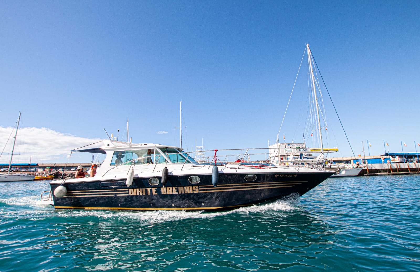 Výlet lodí za delfíny a kytovci na 3 hodiny